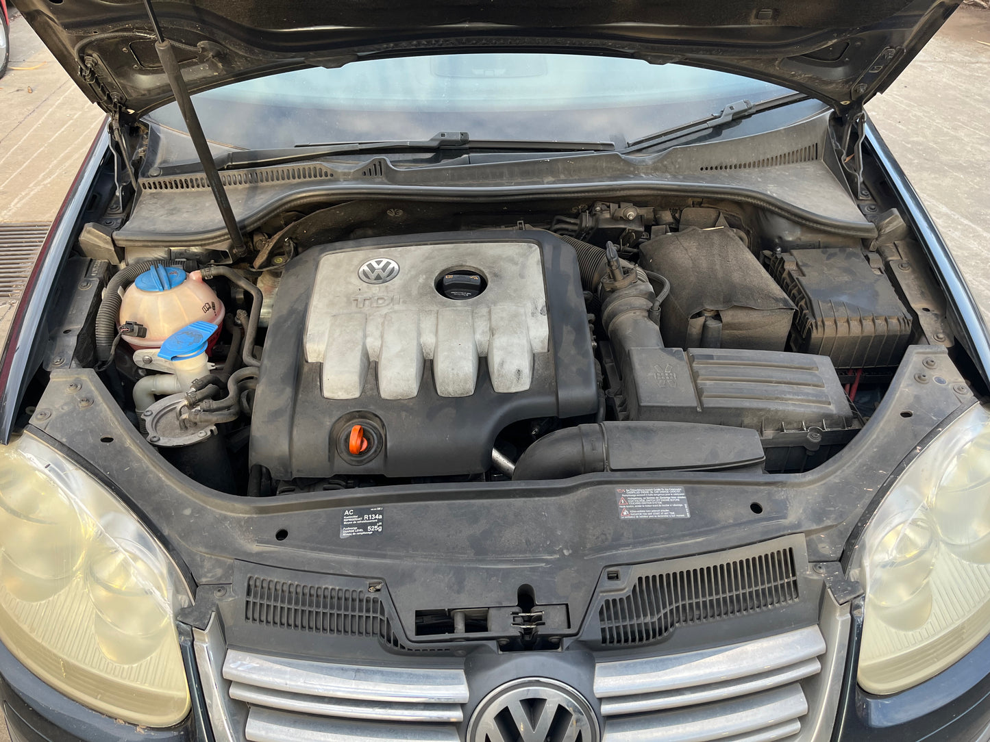 VW JETTA III (1K2) 2.0 FSI 2009 blue - Alternator - AU-219-VW-12-E-A