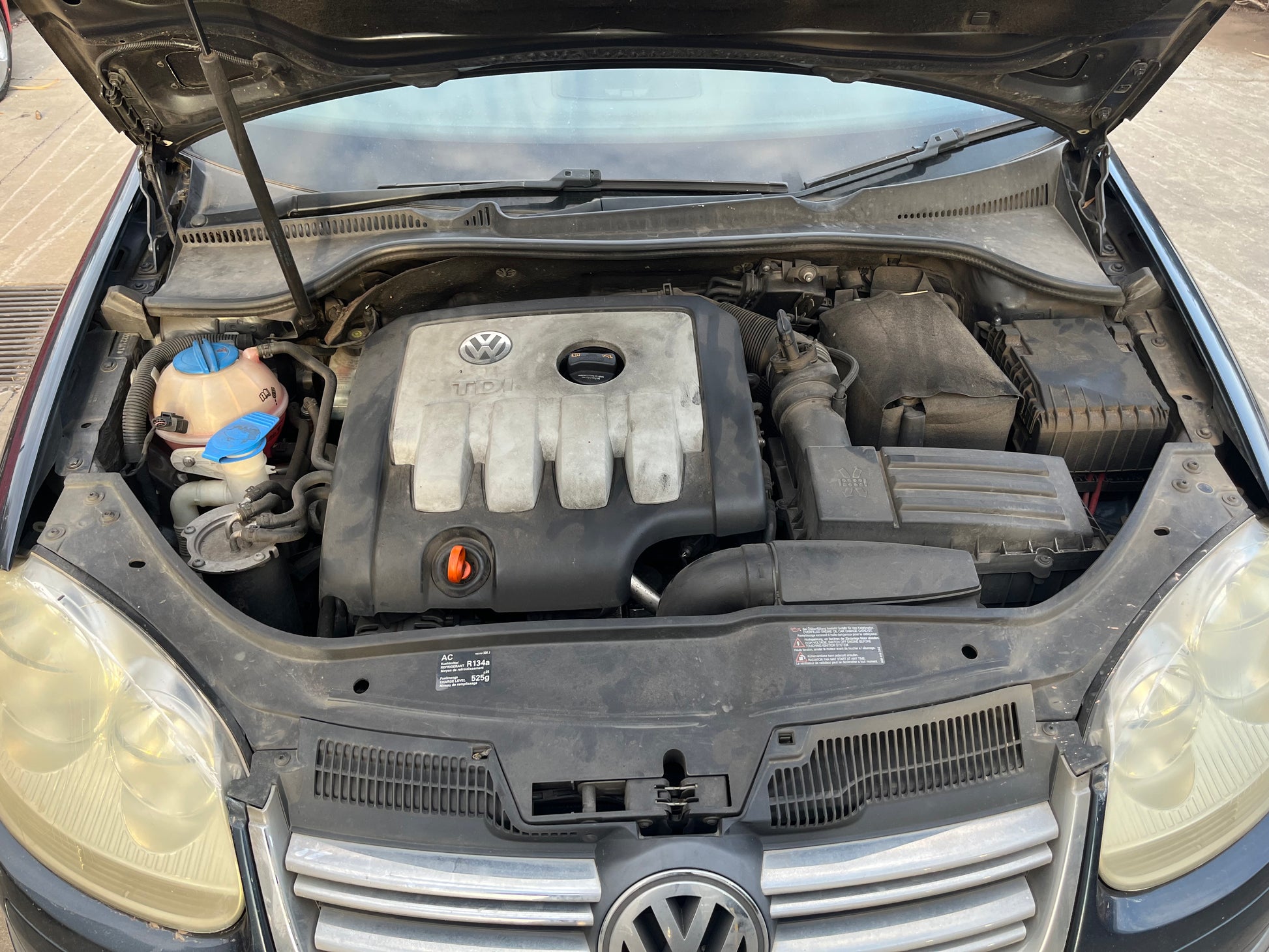VW JETTA III (1K2) 2.0 FSI 2009 blue - Alternator - AU-219-VW-12-E-A