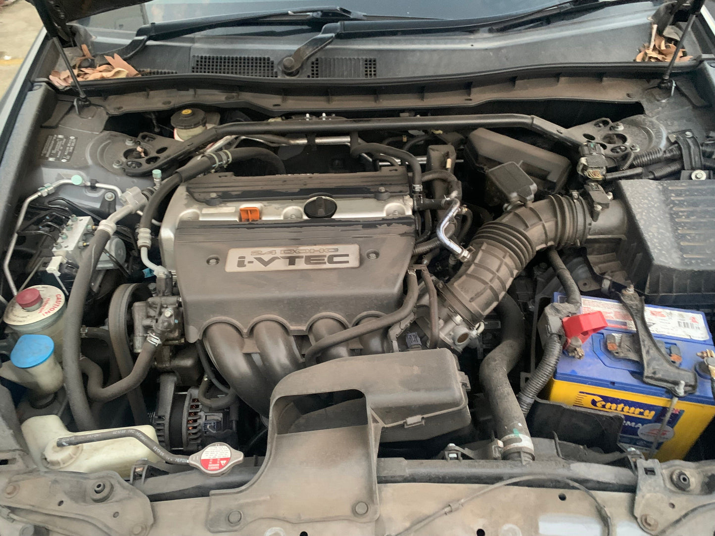 Wrecking/Dismantling Honda Accord CP 2010 Auto 4cyc