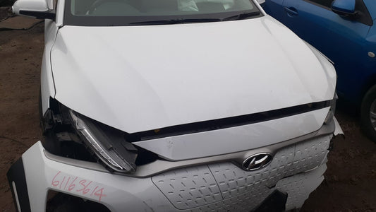 Hyundai Kona Os 2020 Elite Electric Type Engine Fwd Auto - LH Guard/fender OS105654-LHG