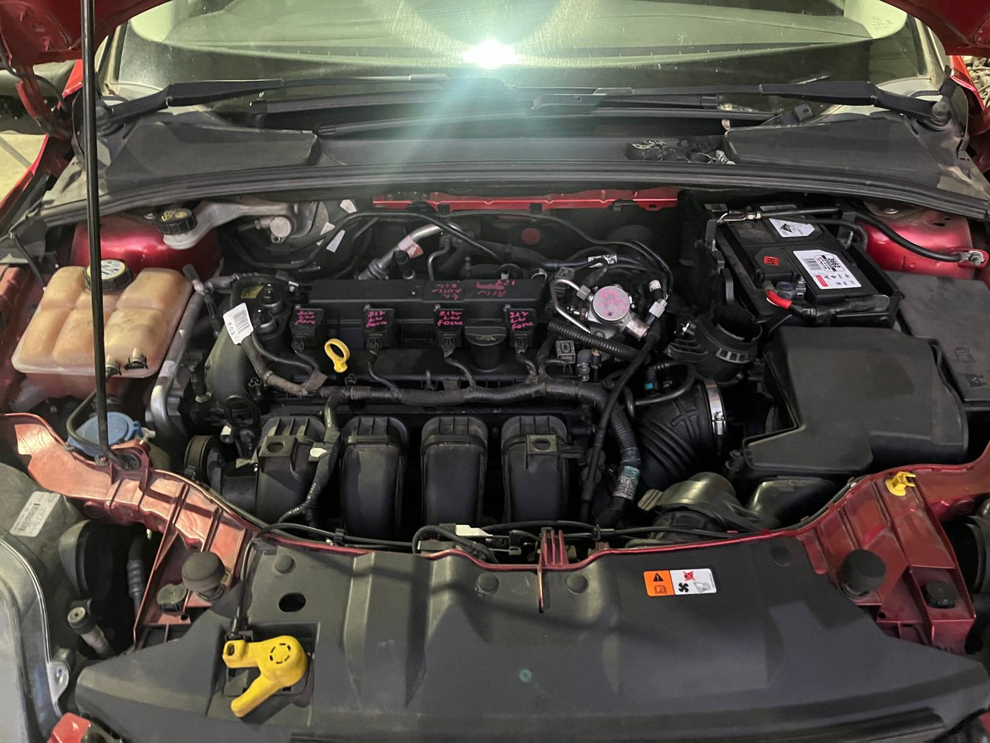 Ford Focus LW 2012 hatch Red 2L petrol Auto - Rear Shockers/Strut RHR - ACW254-LW80502-RHRS