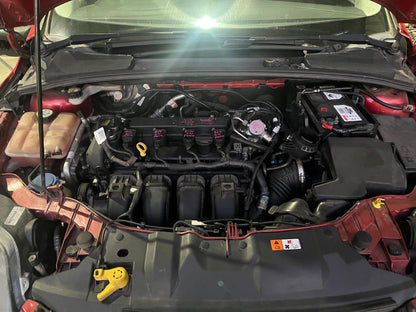 Ford Focus LW 2012 hatch Red 2L petrol Auto - Rear Shockers/Strut RHR - ACW254-LW80502-RHRS