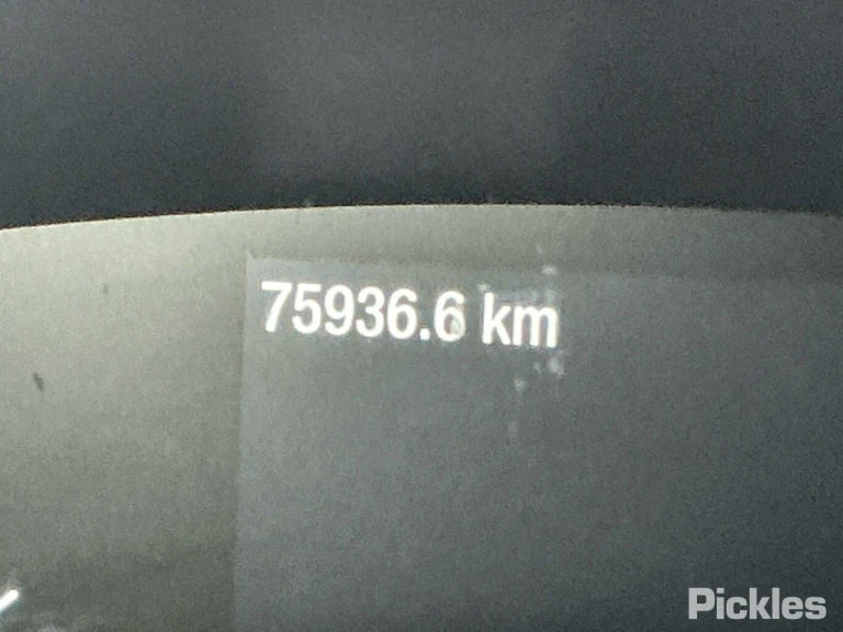 FORD AUSTRALIA FOCUS Wagon (SA) 1.5 EcoBoost 2019 blue - Seat Belt - Rear Centre - AU-219-FO-1-I-I